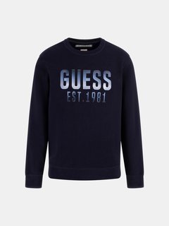 Embroidered logo mikina Modrá barva Muži