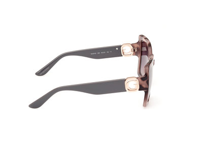 Hnědá, Zvířecí  barva, Sluneční brýle