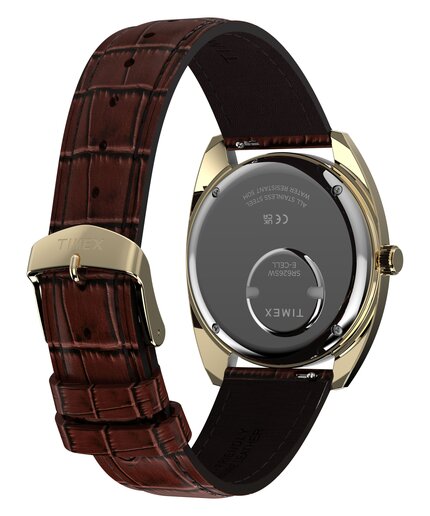 TW2Y87200-GOLD HODINKY Muži