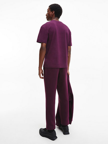 K10K110115-V2A tričko s/s – Calvin Klein Muži