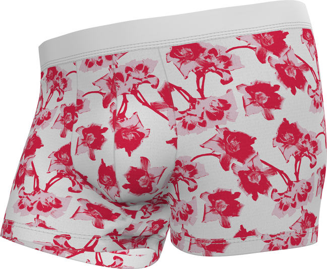 CK One boxerky – Calvin Klein Underwear, Bílá, Červená barva Muži, Muži, Muži