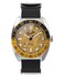 TIMEX – TW6A14600QY-SILVER HODINKY