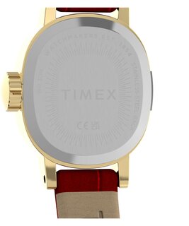 Luxusní TW2Y87900-GOLD HODINKY, UNI