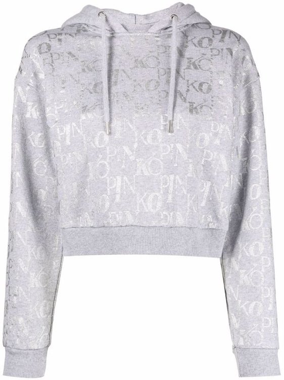 Pinko – Muggio maglia mikina, Šedá, Stříbrná barva