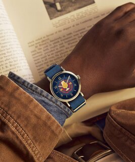 TIMEX TW2Y76100QY-GOLD HODINKY
