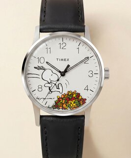 TIMEX TW2Y85600-SILVER HODINKY