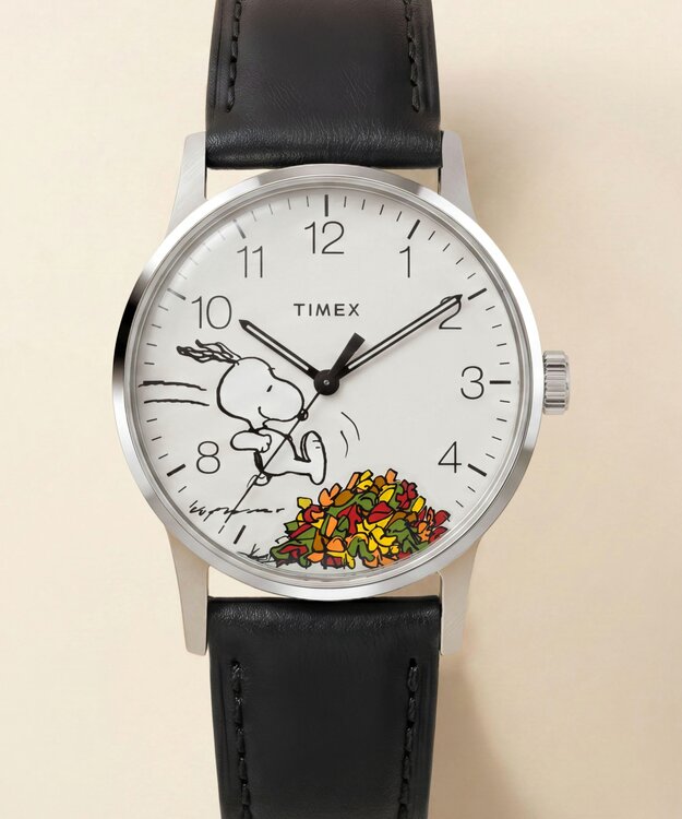 TIMEX TW2Y85600-SILVER HODINKY