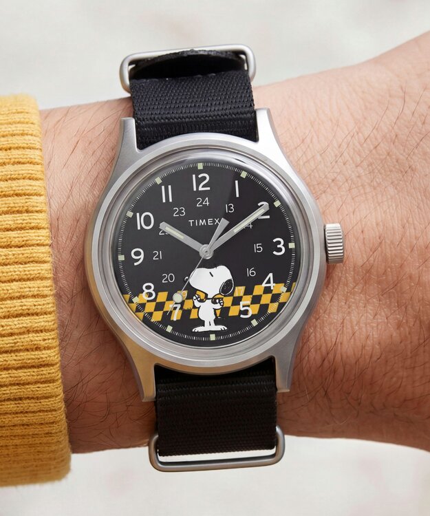 TIMEX – TW2Y85400-SILVER HODINKY 1
