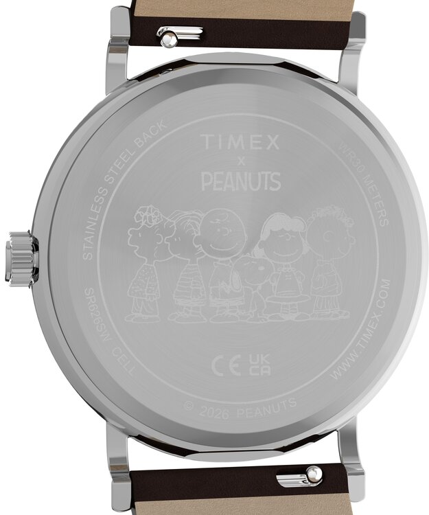Luxusní TW2Y51500UK-SILVER HODINKY