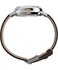 TW2Y84200UK-SILVER HODINKY – TIMEX Muži