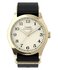TIMEX – TW2Y86600-GOLD HODINKY