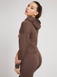 Hnědá barva, Alisa mikina