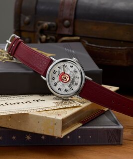 TW2Y76200QY-SILVER HODINKY