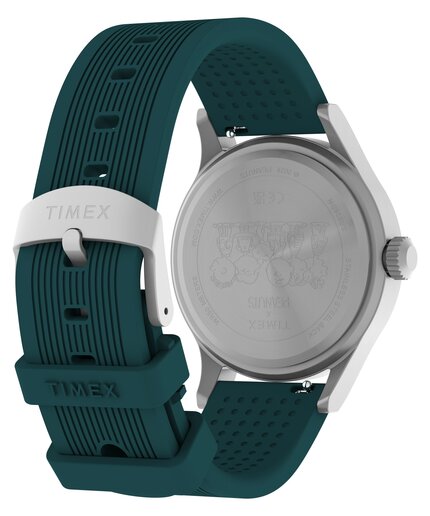 TW2Y84800-SILVER HODINKY Muži