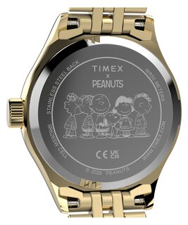 Luxusní TW6A07400-GOLD HODINKY, UNI