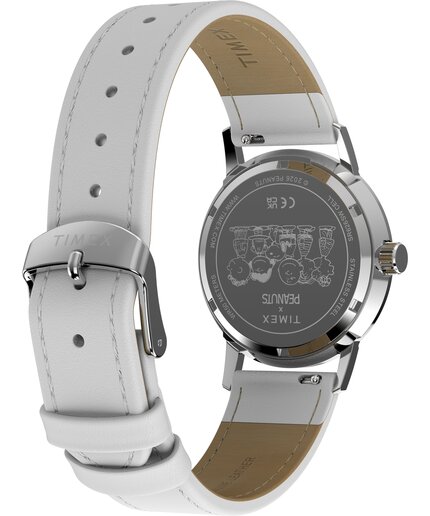 TW2Y68800UK-SILVER HODINKY Ženy