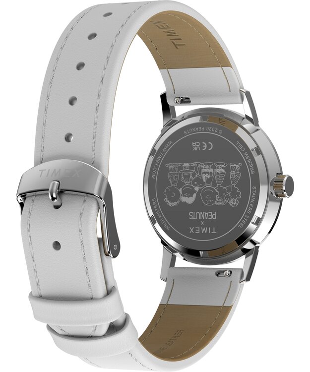 TW2Y68800UK-SILVER HODINKY Ženy