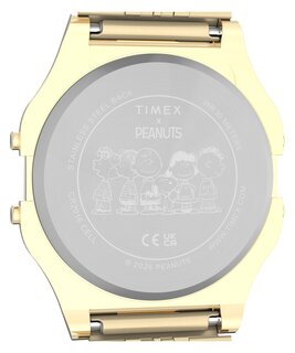 Luxusní TW2Y76800UK-GOLD HODINKY, UNI
