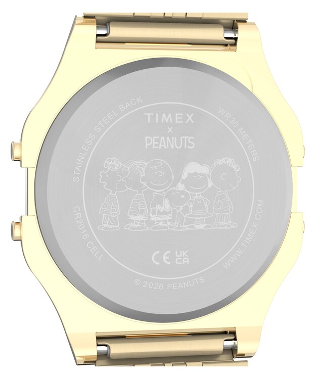 Luxusní TW2Y76800UK-GOLD HODINKY, UNI