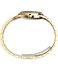TW6A04000UK-GOLD HODINKY – TIMEX Unisex