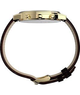 TW2Y99000-GOLD HODINKY – TIMEX Muži