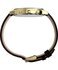 TW2Y99000-GOLD HODINKY – TIMEX Muži