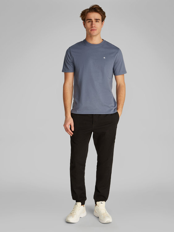 LV040HM265-FCG triko s/s – Calvin Klein Jeans Muži