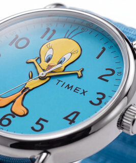 TIMEX – TW2Y99500QY-SILVER HODINKY 1