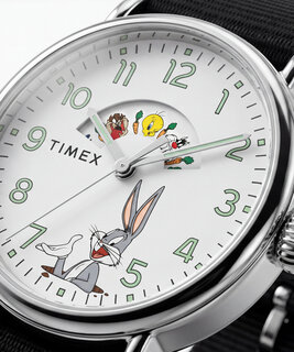 TIMEX – TW2Y99100QY-SILVER HODINKY 1
