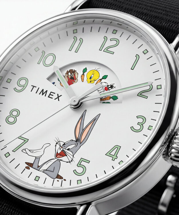 TIMEX – TW2Y99100QY-SILVER HODINKY 1