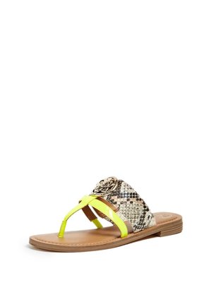 Guess – Genera žabky, Béžová, Hnědá, Žlutá barva