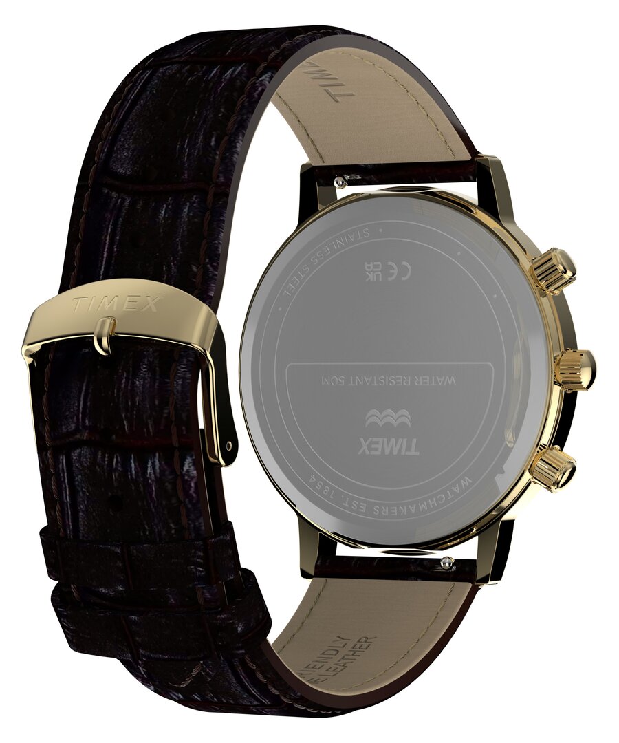 TW2Y99000-GOLD HODINKY Muži
