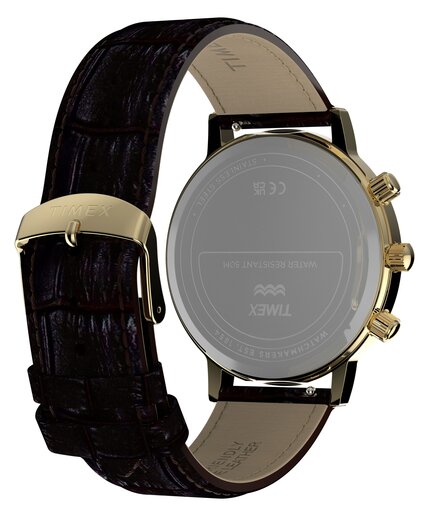 TW2Y99000-GOLD HODINKY Muži