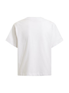 Bílá barva, Rocsena triko