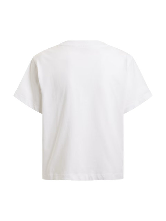 Bílá barva, Rocsena triko