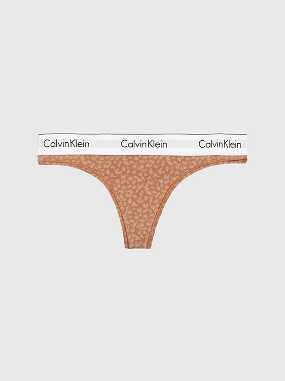 Calvin Klein Underwear – Modern Cotton tanga, Hnědá barva