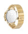 PWFAA0321-IP YELLOW GOLD HODINKY – Philipp Plein Unisex