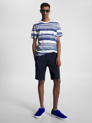 Summer Stripes triko – Tommy Hilfiger, Modrá barva Muži