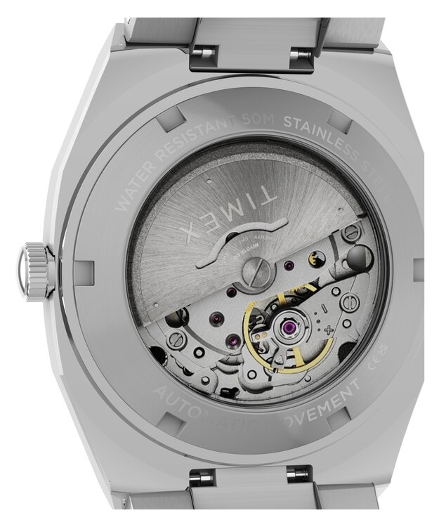 Luxusní TW6A00500UK-SILVER HODINKY, UNI