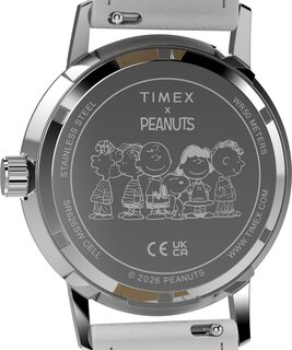 Luxusní TW2Y68800UK-SILVER HODINKY, UNI