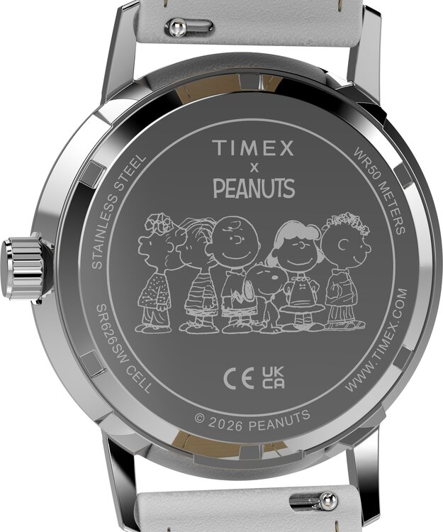 Luxusní TW2Y68800UK-SILVER HODINKY, UNI