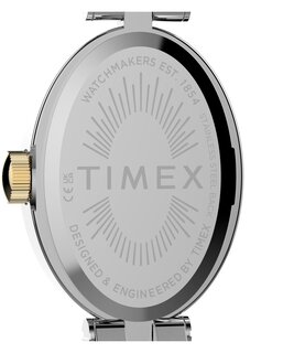 Luxusní TW2Y90200-GOLD HODINKY, UNI
