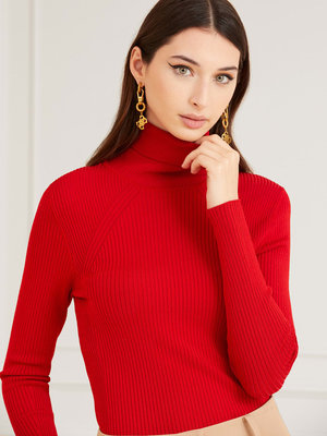 Červená barva, Aida svetr