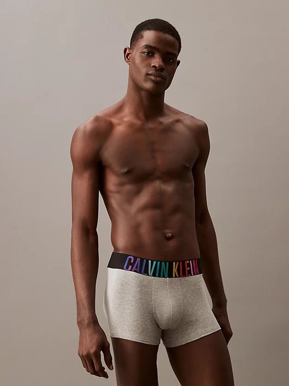 Calvin Klein Underwear – Pride Cotton boxery, Šedá barva