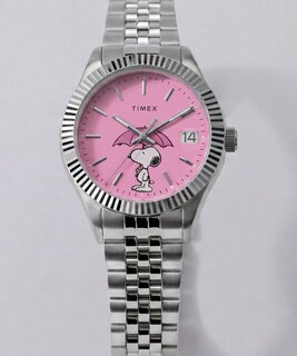 TIMEX TW2Y85500-SILVER HODINKY