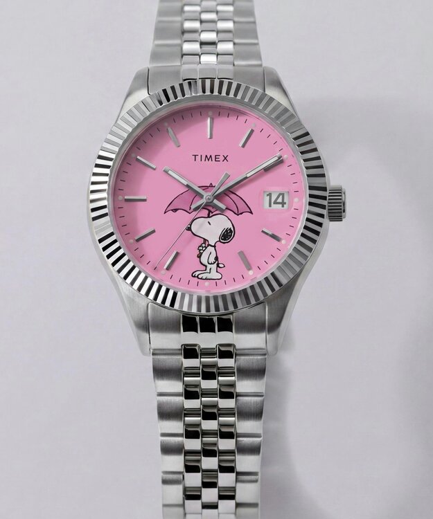 TIMEX TW2Y85500-SILVER HODINKY