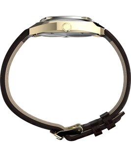 TW2Y82100UK-GOLD HODINKY – TIMEX Muži