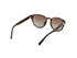 Luxusní Sluneční brýle, Hnědá barva, UNI 1