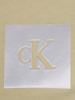 Calvin Klein Jeans J20J223700-LFU triko s/s