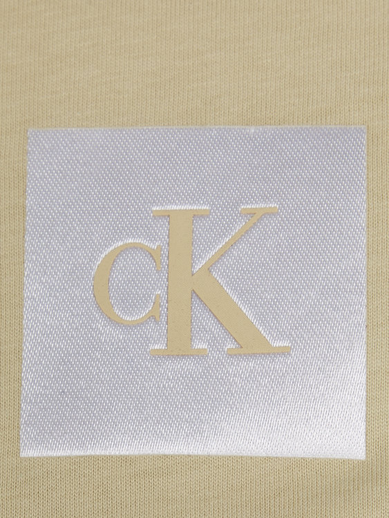 Calvin Klein Jeans J20J223700-LFU triko s/s